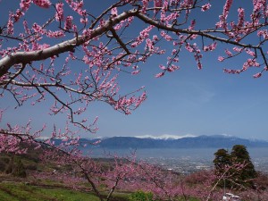 hanatoriyamaview