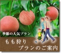 bn-peach.jpg
